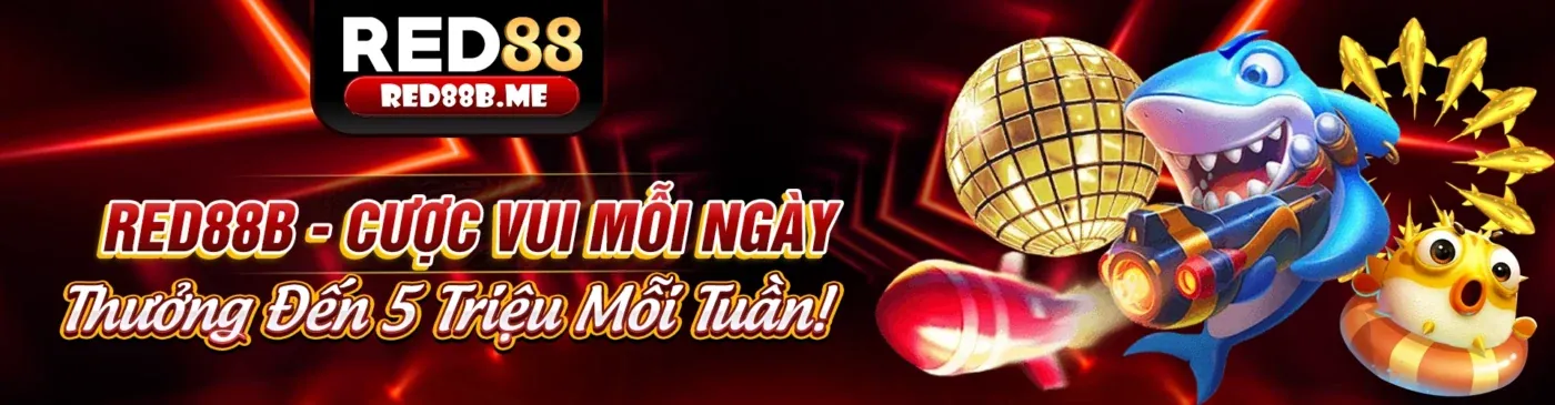 Hình ảnh giới thiệu về Q88 App - Đội ngũ chuyên nghiệp